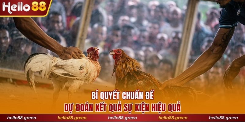 Bí quyết chuẩn để dự đoán kết quả sự kiện hiệu quả