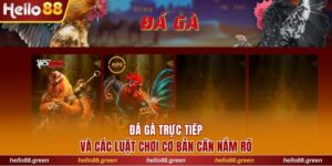Đá gà trực tiếp