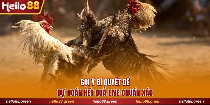 Gợi ý bí quyết để dự đoán kết quả live chuẩn xác