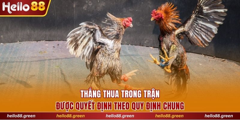 Thắng thua trong trận được quyết định theo quy định chung